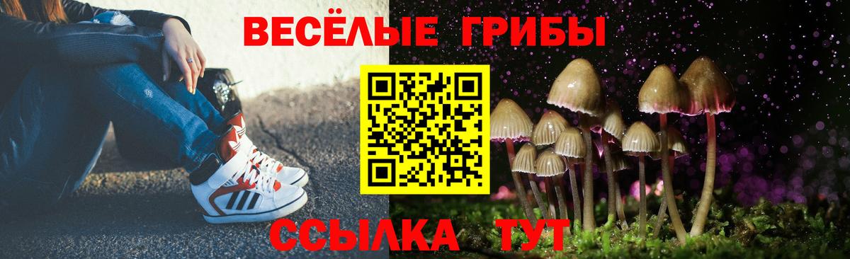 Галлюциногенные грибы Cubensis  Вход с VPN  Елизово 