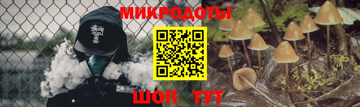 Галлюциногенные грибы Psilocybine cubensis Елизово